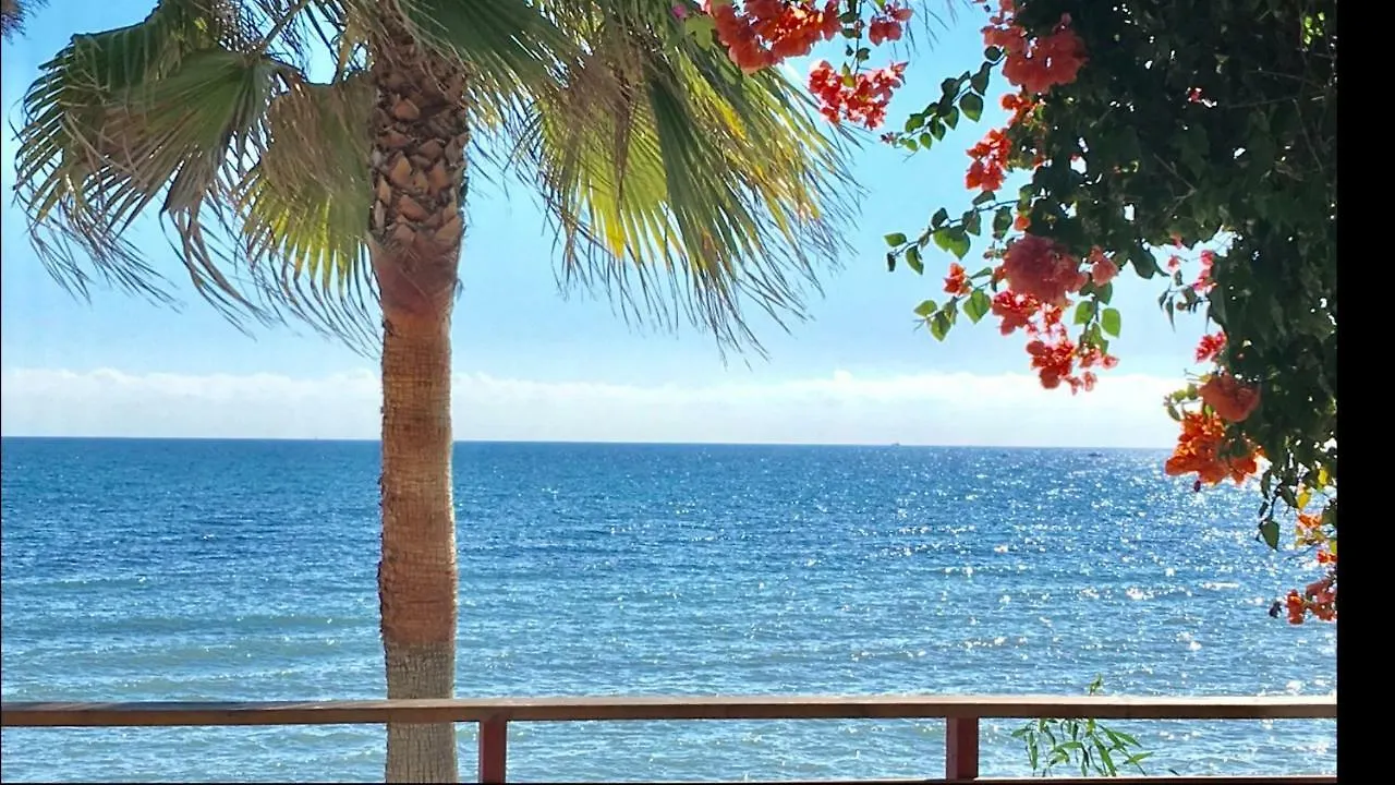 Appartement Mi Capricho 2B1 Beachfront Complex-Apartment Beachside With Sea Views Sitio de Calahonda